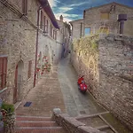 Dila Assisi